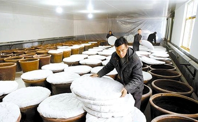 釀造食醋奔富路，食品銷(xiāo)售創(chuàng)輝煌——傳統(tǒng)技藝與現(xiàn)代市場(chǎng)的完美融合